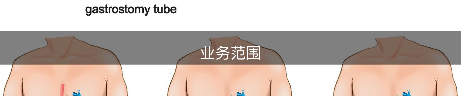 业务范围